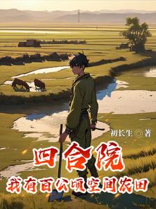 四合院:我成了傻柱他爹小说