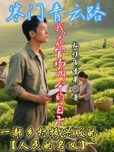 寒门青云路：我在官场撕伞的日子