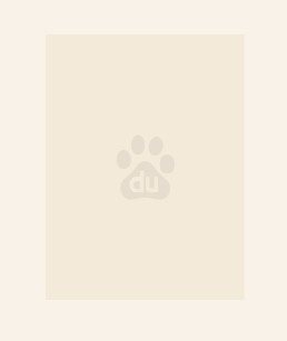 世子凶猛：谁敢和我抢女人？