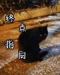 终点指标不包括( )。